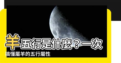 羊屬五行|生肖羊五行屬什麼？揭秘羊羊們的個性與命運！｜魔幻水